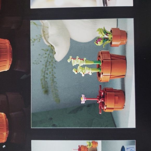 LEGO Icons Tiny Plants Building Set for Flower-Lovers - Picture 12 of 16